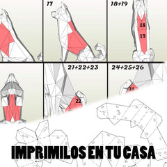 Mega Pack Papercraft 3d + 100 Modelos Animales Imprimible!