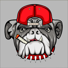 Mega Pack Premium 100.000 Diseños, Vectores Para Sublimadora